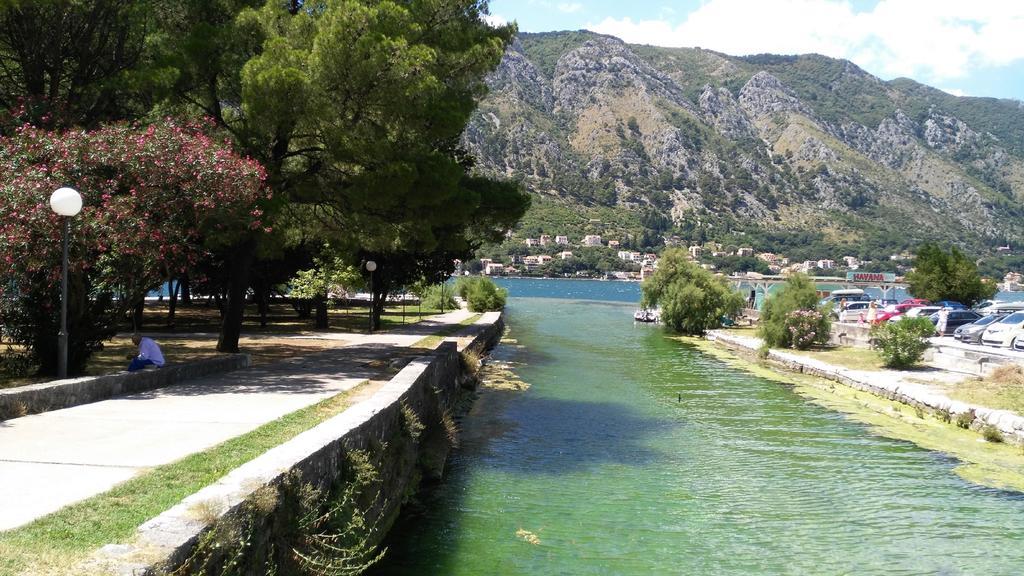 Apartments Villa Marta - Begovic Kotor Exteriér fotografie
